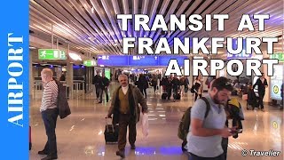 TRANSIT WALK AT FRANKFURT Airport FRA Terminal 1  Connection Flight Transfer Arriving amp Departing [upl. by Toolis10]