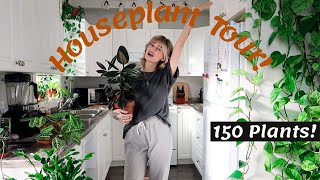 Houseplant Tour 2020  150 plants in my small home rare and common [upl. by Ivz]