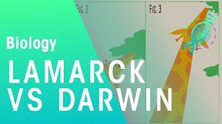 Theories of evolution Lamarck vs Darwin  Evolution  Biology  FuseSchool [upl. by Viridis]