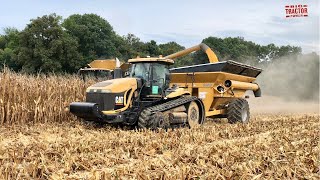 Harvesting 5000 Bushels of Corn Per Hour [upl. by Manlove562]