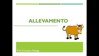 Allevamento  Classi 2 [upl. by Aw]