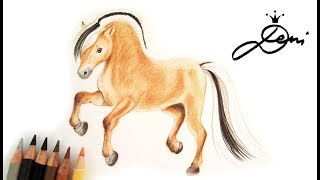 🐴 Fjord Pferd zeichnen lernen 🐎 Fjordpferd malen 🐴 How to Draw a Horse 🐎 Как да нарисуваме кон [upl. by Hanley]