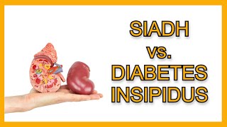 SIADH vs Diabetes Insipidus [upl. by Meehahs]