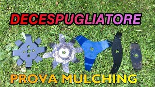 DECESPUGLIATORE PROVA DISCHI E LAME MULCHING [upl. by Squier]